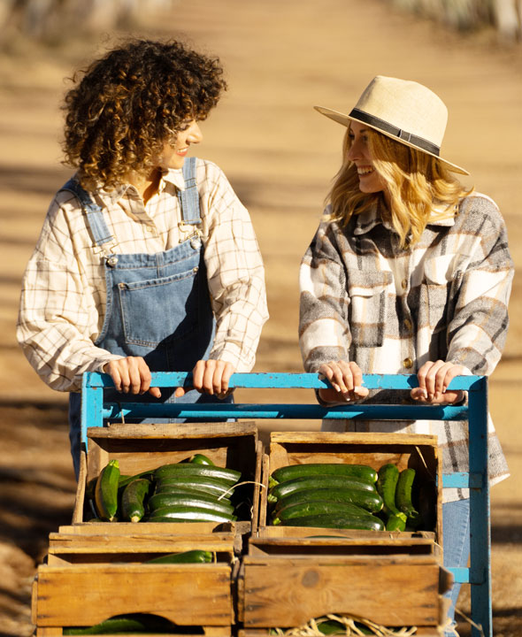 organic farm zucchini